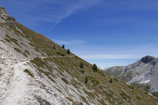 alpes guide accompagnateur randonnée montagne cantal