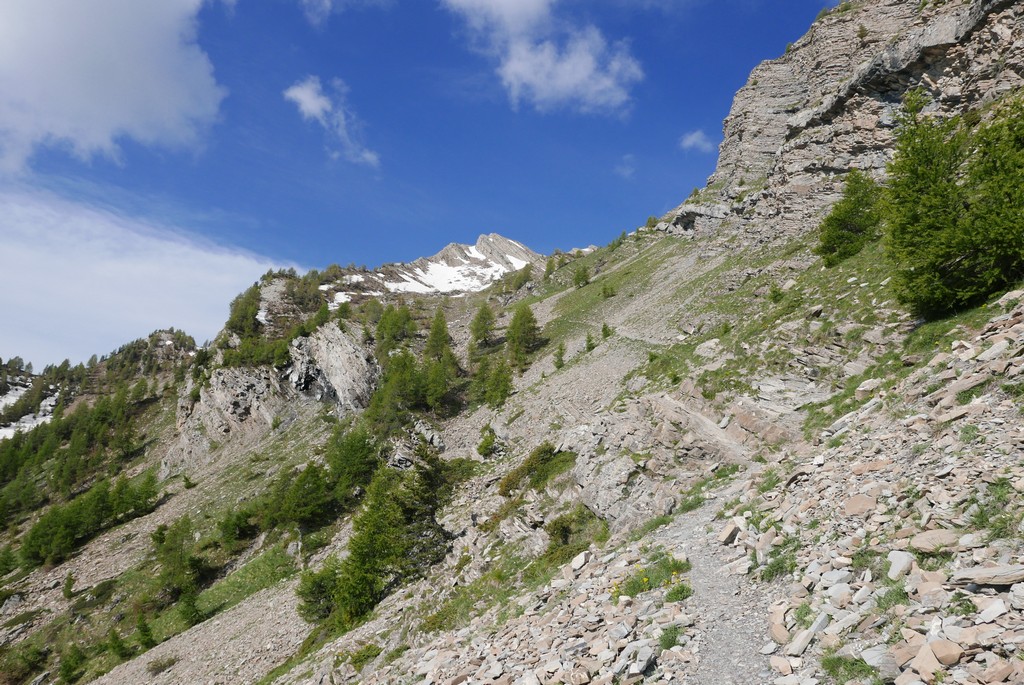 alpes guide accompagnateur randonnée montagne cantal alpes du sud hautes alpes queyras écrins champsaur
