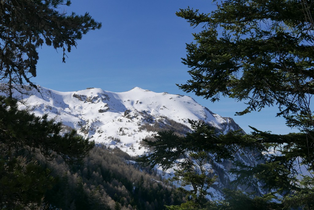 alpes guide accompagnateur randonnée montagne alpes du sud hautes alpes queyras écrins champsaur