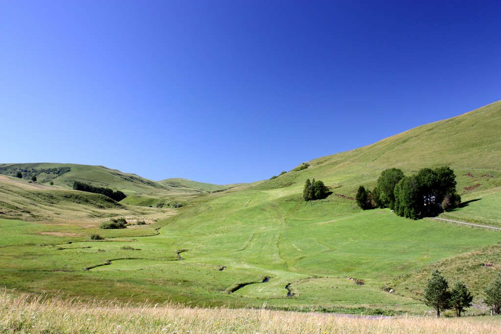 prairie cézallier guide accompagnateur montagne cantal