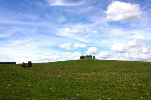 accompagnateur montagne cantal guide randonnée