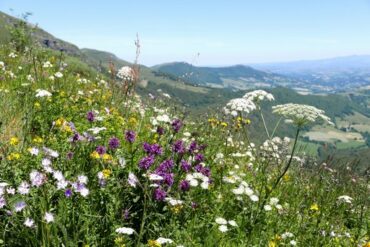 accompagnateur montagne cantal guide randonnée