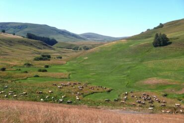 accompagnateur montagne cantal guide randonnée