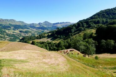 accompagnateur montagne cantal guide randonnée