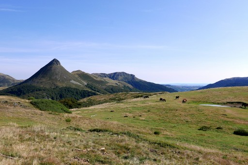 accompagnateur montagne cantal guide randonnée