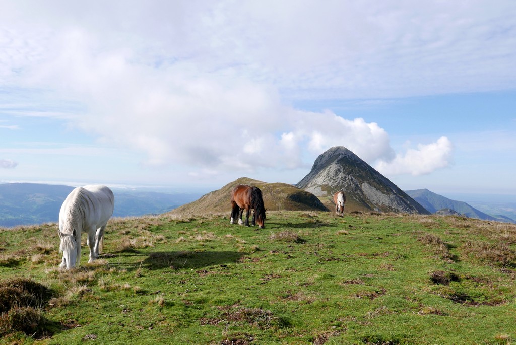 alpage puy griou accompagnateur montagne guide cantal