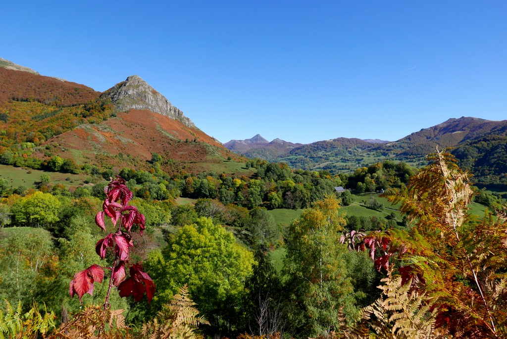 vallée de la jordanne accompagnateur montagne guide cantal