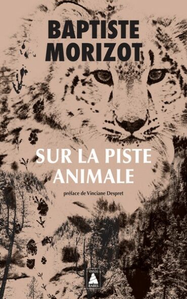 accompagnateur montagne cantal guide