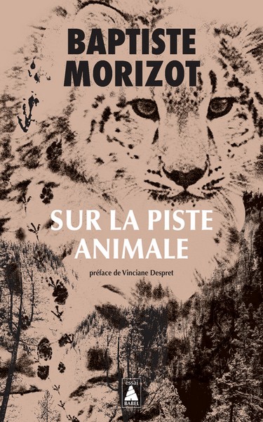 accompagnateur montagne cantal guide
